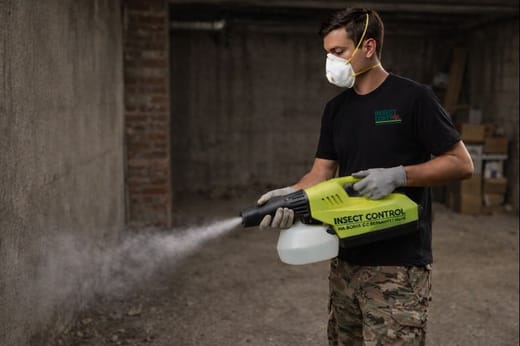 пръскане срещу бълхи